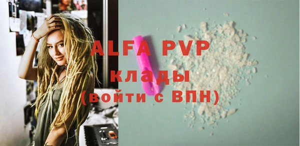 дурь Сатка