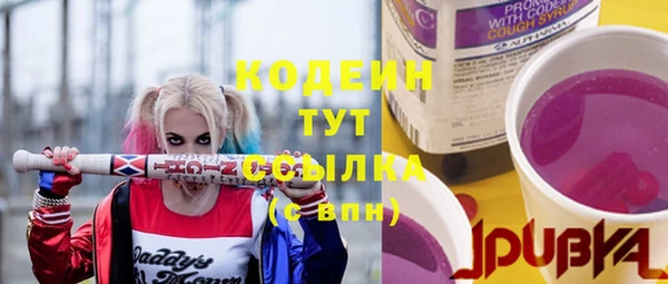 дурь Сатка