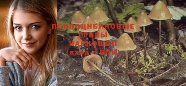 jwh Саяногорск