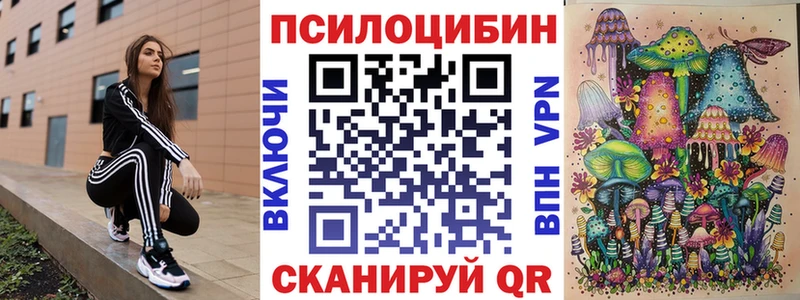 Псилоцибиновые грибы Cubensis Инсар